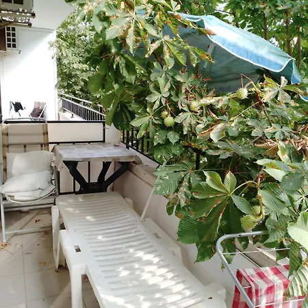 Grand Kamelia Complex 42 M 2 Floor Daire